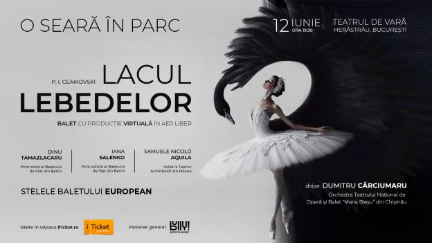 O SEARĂ ÎN PARC – LACUL LEBEDELOR